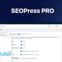 SEOPress Pro
